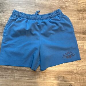 Champion Blue Athletic Shorts Elastic Waistband Lightweight Cotton Shorts